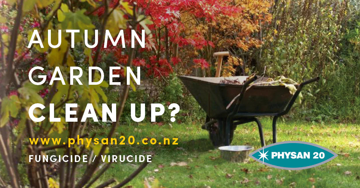 Autumn Garden Cleanup!