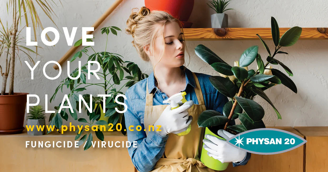 Protect your Indoor Plants this Autumn!