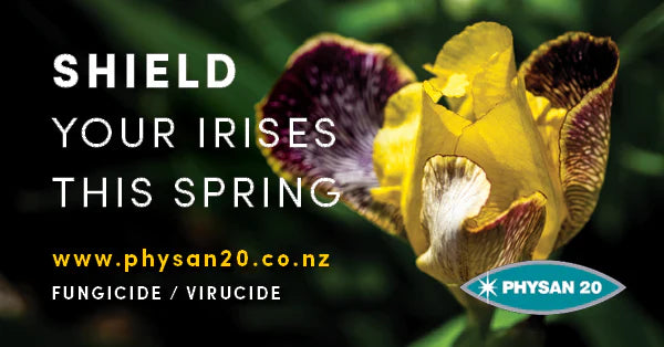 Shield your Irises this Spring!