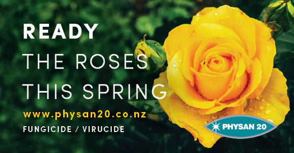 Ready the Roses this Spring!