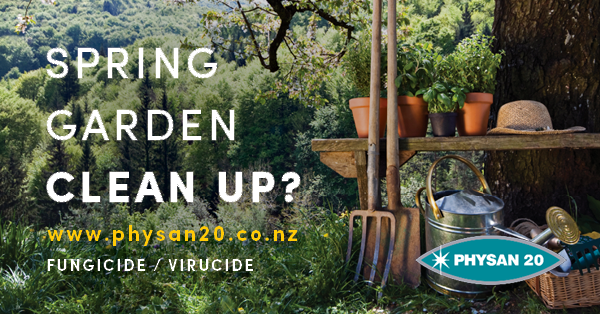 Spring garden clean up!