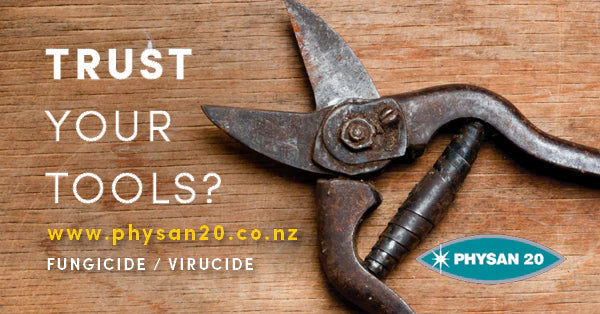 Are your tools sterilized?