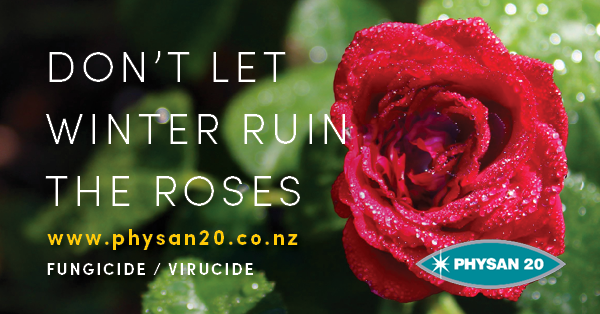 Don't let Winter ruin the Roses
