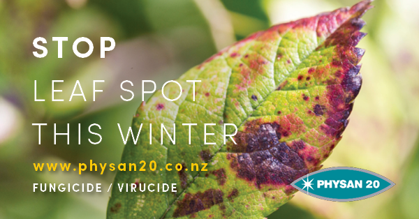 Prevent Leaf Spot on your plants this Winter!