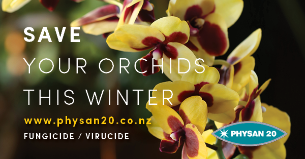 Save your Orchids this Winter