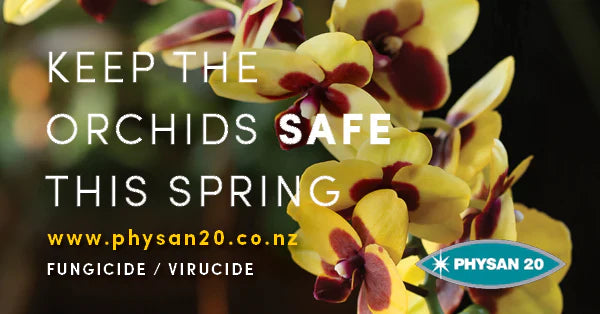 Keep your Orchids Safe this Spring!